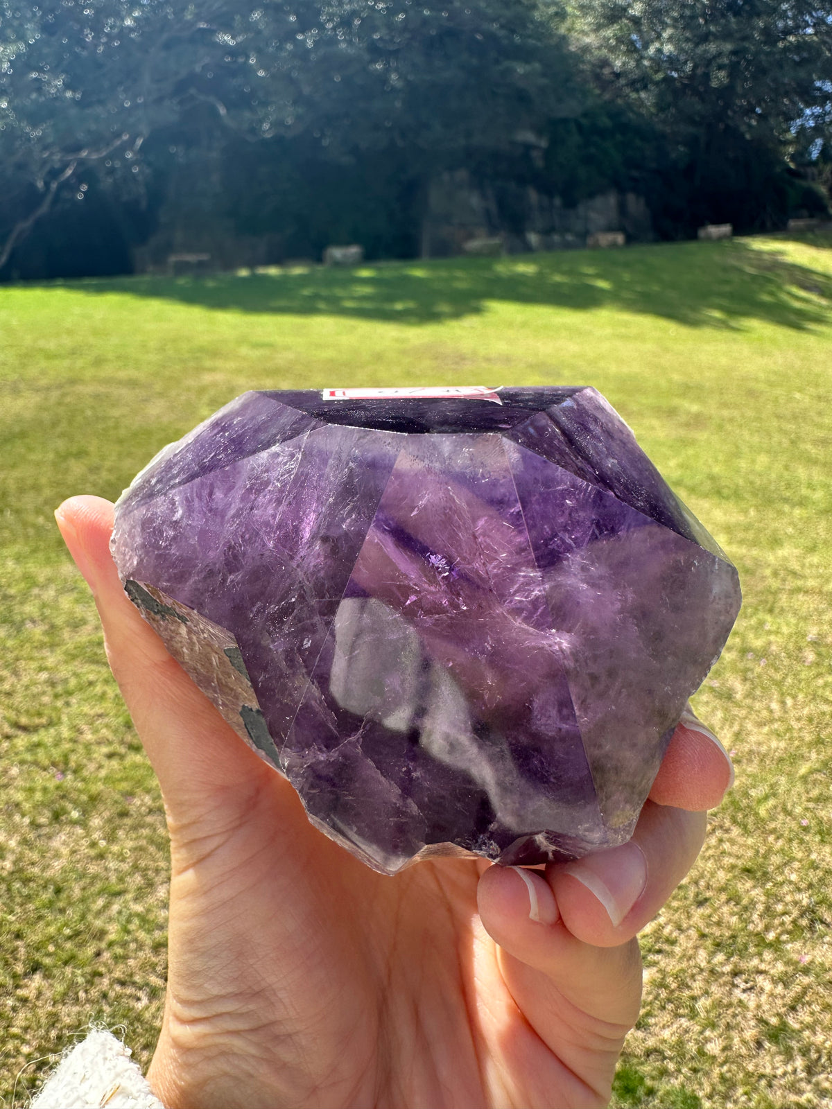 Uruguay Amethyst Raw Point with Deep Purple Growth, 484g 9.4cm Exact Piece #10 – alternate view 7