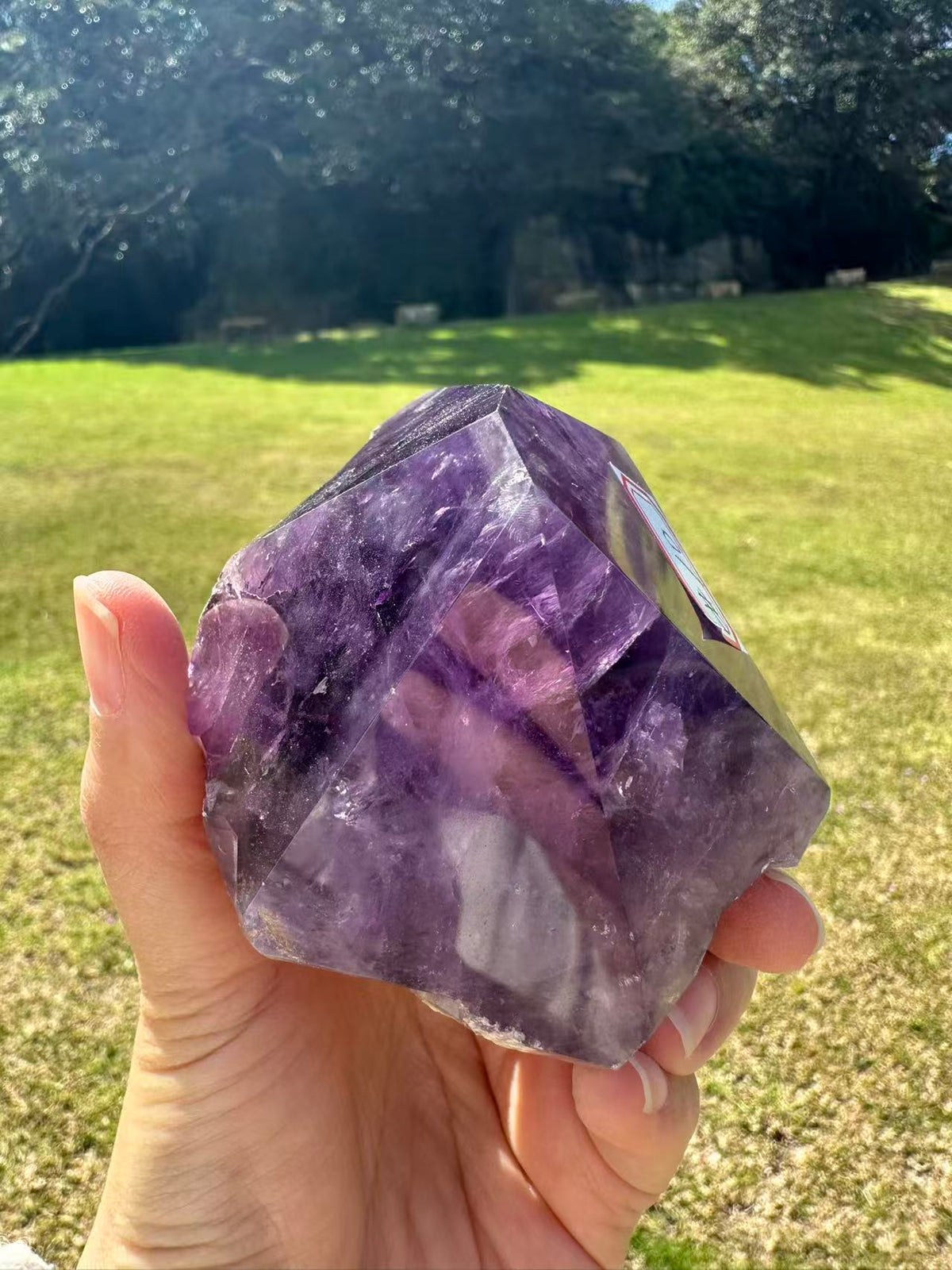 Uruguay Amethyst Raw Point with Deep Purple Growth, 484g 9.4cm Exact Piece #10 – alternate view 4