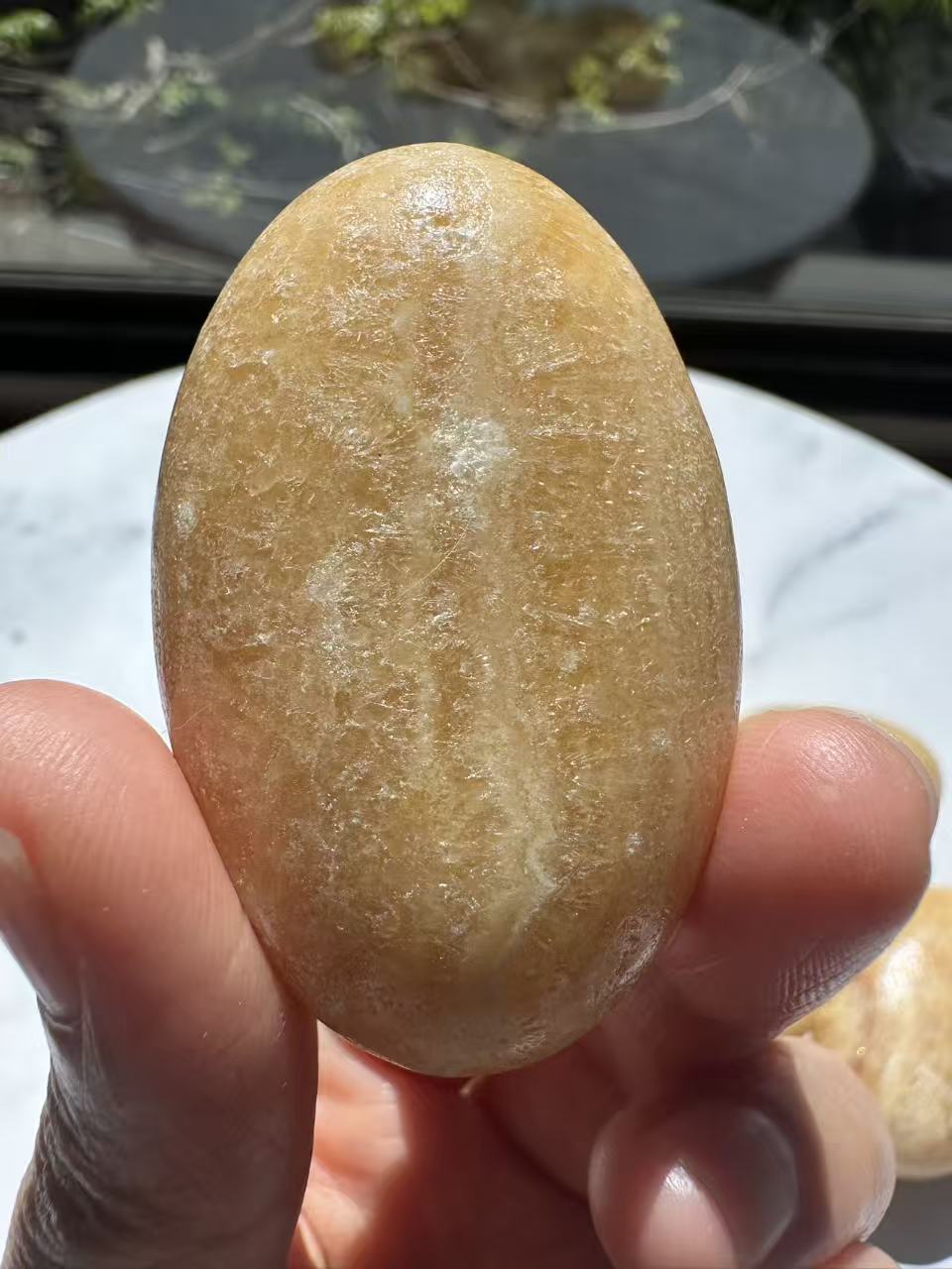 Yellow Calcite palm stone with cream and golden yellow tones