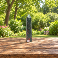 Large African Bloodstone Tower, 25cm Red & Green Crystal Point, 885g – Exact No.7