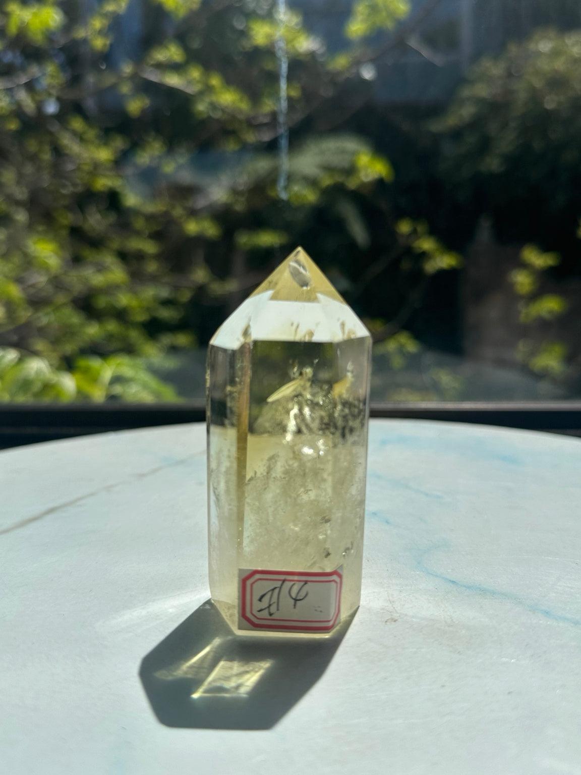 Original natural-sunlight front photograph of Brazilian citrine tower #4 with its original identifying label