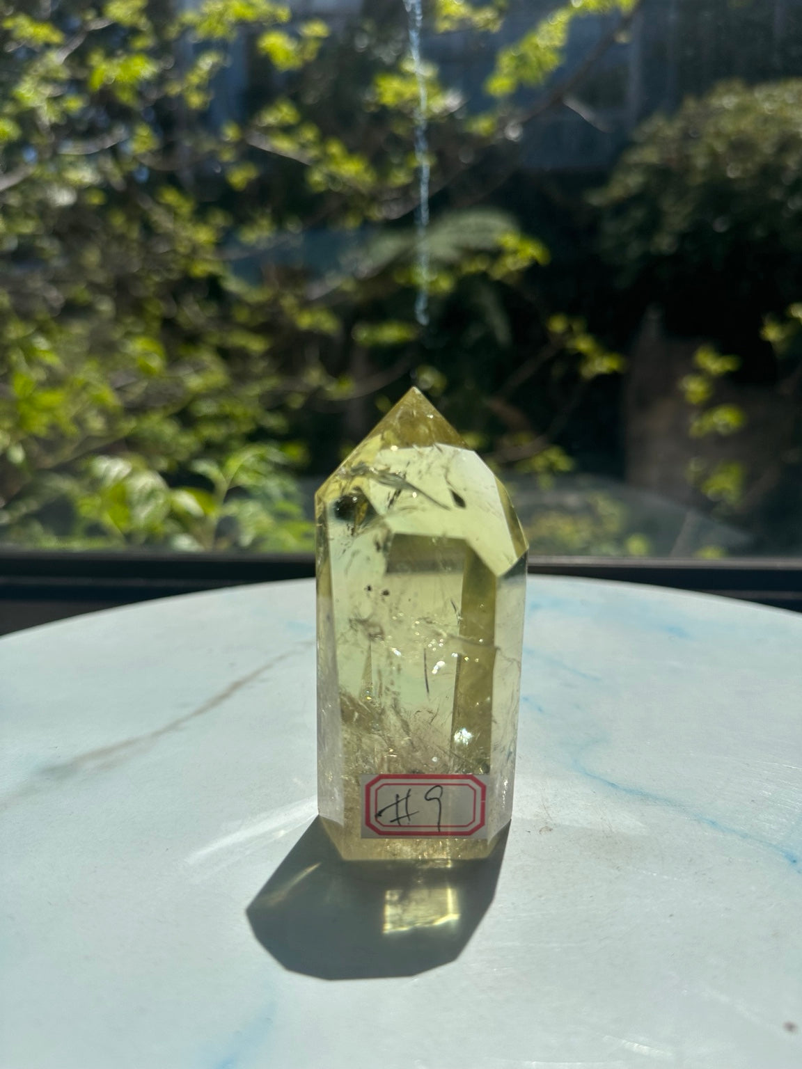 Original sunlight photograph 1 of Brazilian citrine tower #9, pale yellow champagne quartz with clear upper areas, internal veils and angle-dependent rainbow reflections.