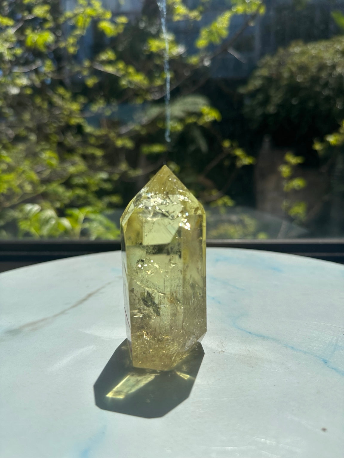 Original sunlight photograph 2 of Brazilian citrine tower #9, pale yellow champagne quartz with clear upper areas, internal veils and angle-dependent rainbow reflections.
