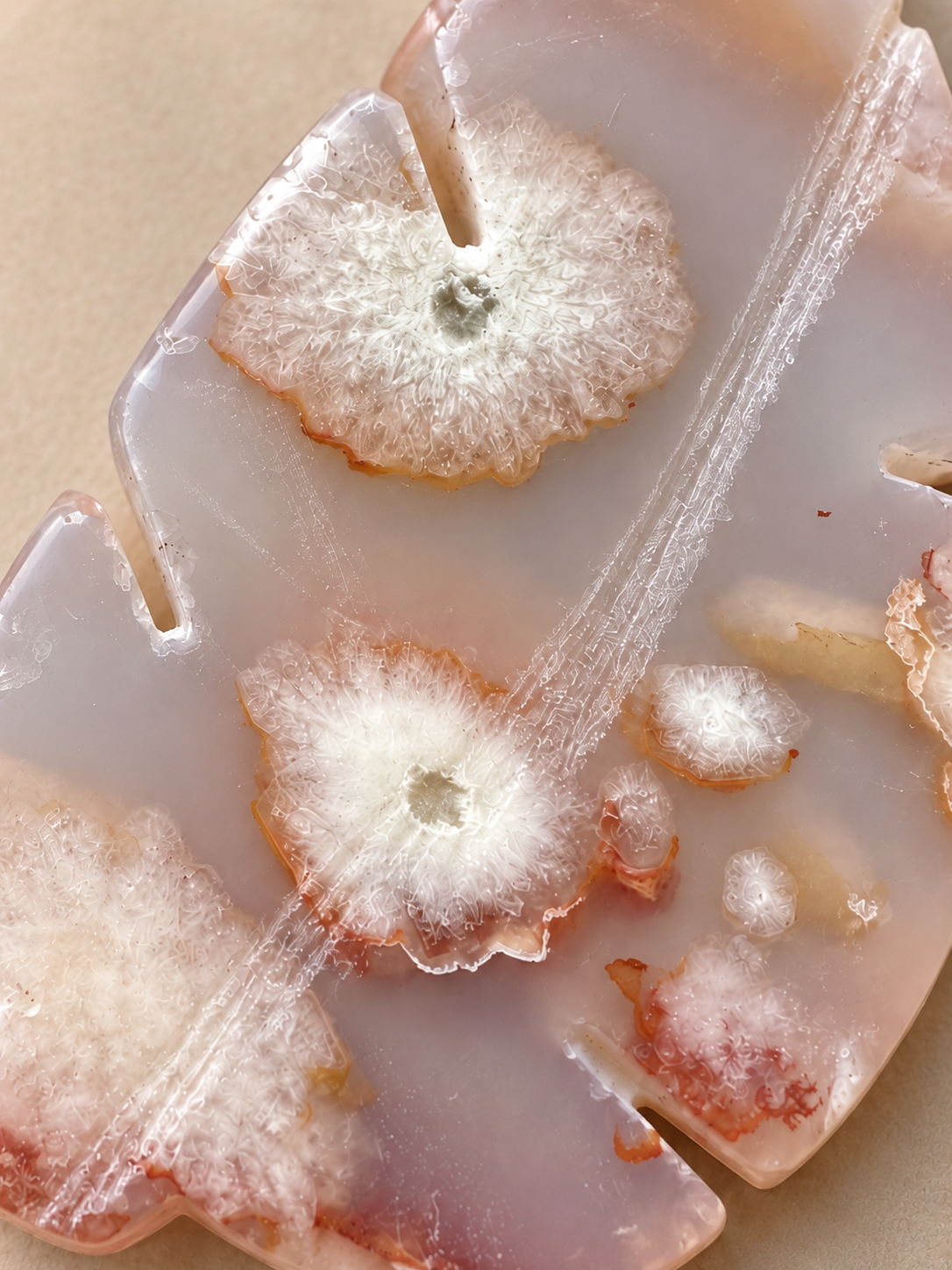 Natural Flower Agate botanical tree carving, soft indoor light, photo 10