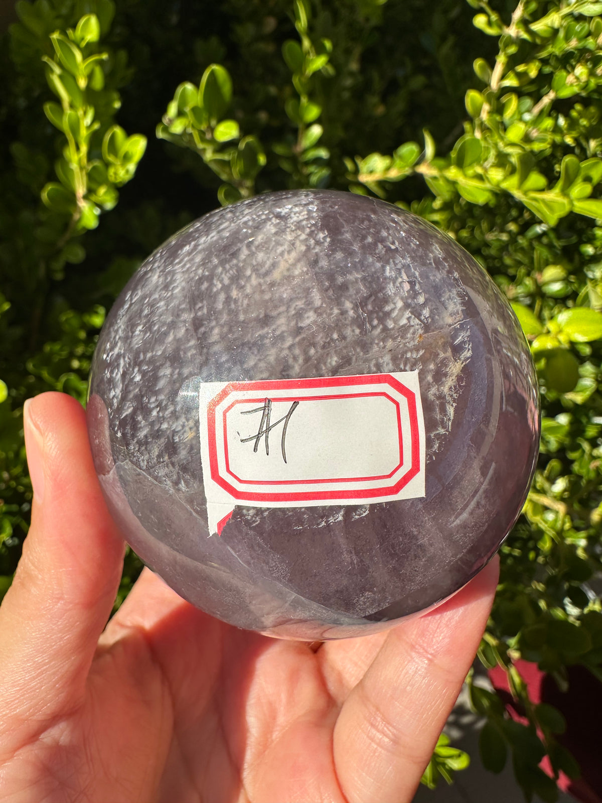Purple Fluorite Sphere with Violet Zoning | 557g 6.1cm Exact Piece #1