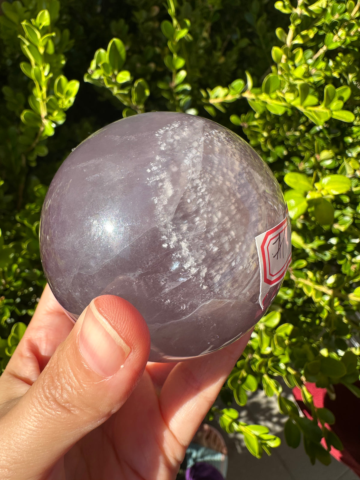 Purple Fluorite Sphere with Violet Zoning | 557g 6.1cm Exact Piece #1