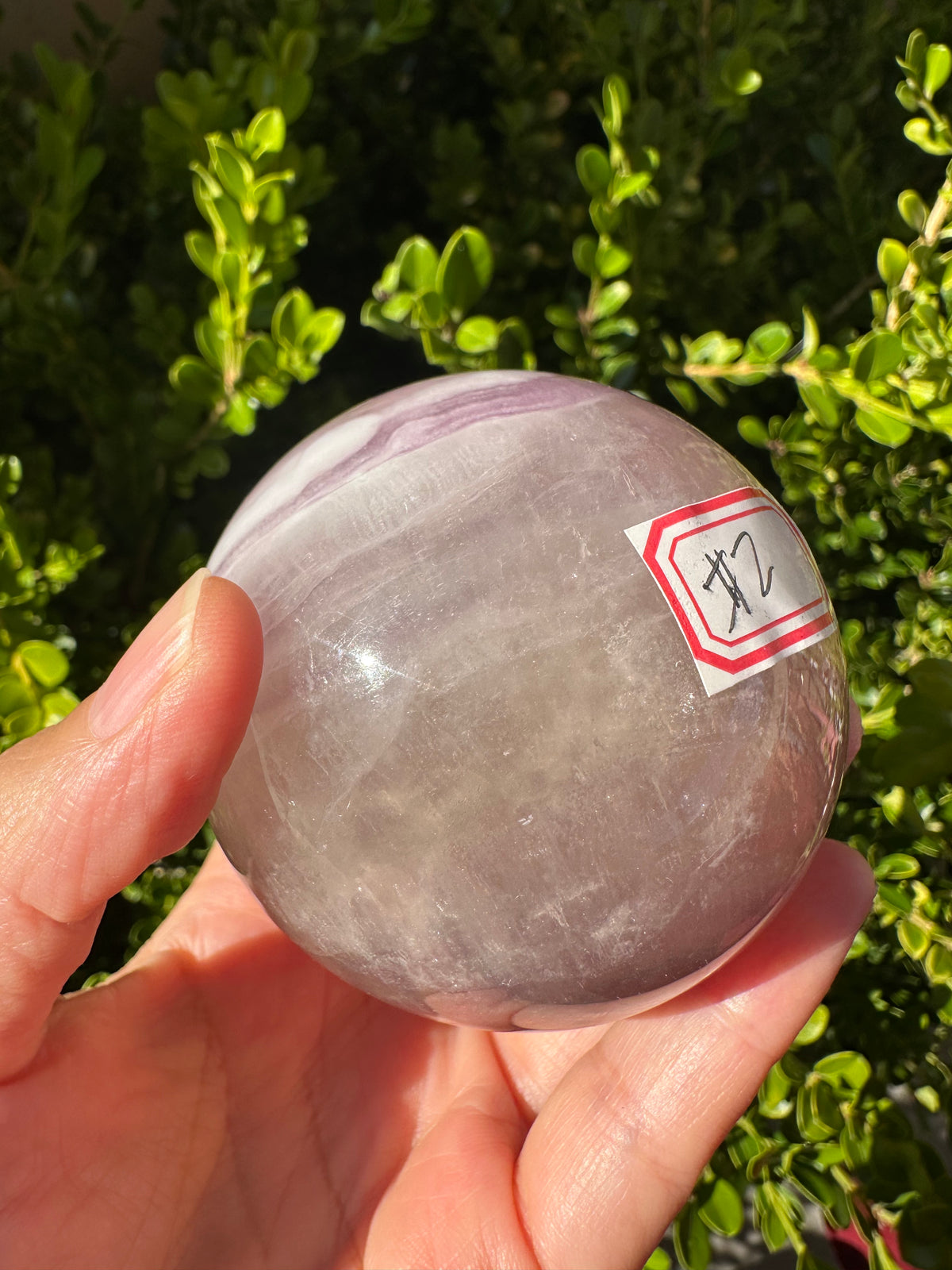 Purple Fluorite Sphere with Violet Zoning | 469g 6.6cm Exact Piece #2