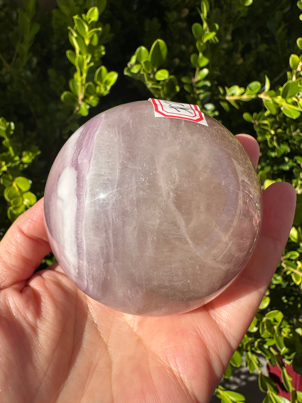 Purple Fluorite Sphere with Violet Zoning | 469g 6.6cm Exact Piece #2