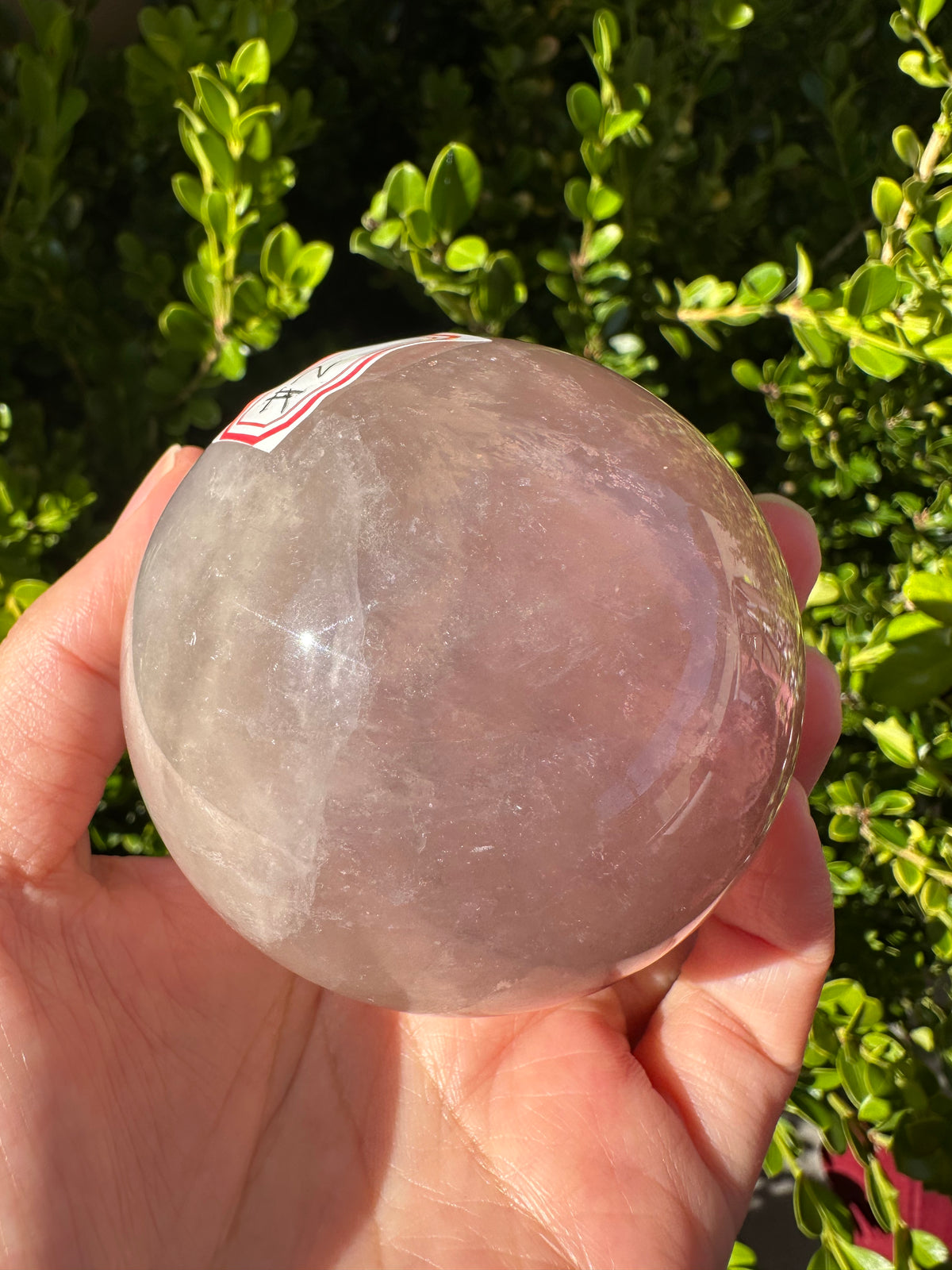 Purple Fluorite Sphere with Violet Zoning | 469g 6.6cm Exact Piece #2