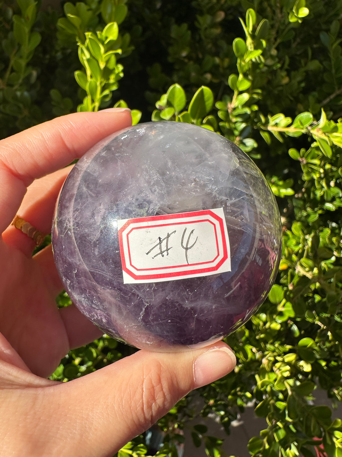 Purple Fluorite Sphere with Violet Zoning | 512g 6.7cm Exact Piece #4
