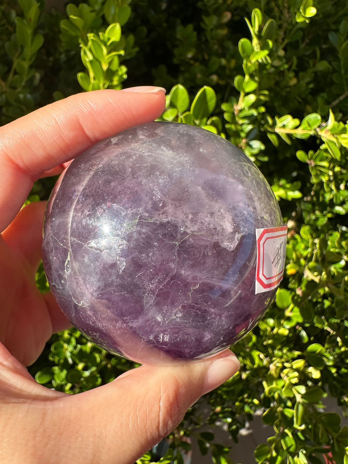 Purple Fluorite Sphere with Violet Zoning | 512g 6.7cm Exact Piece #4
