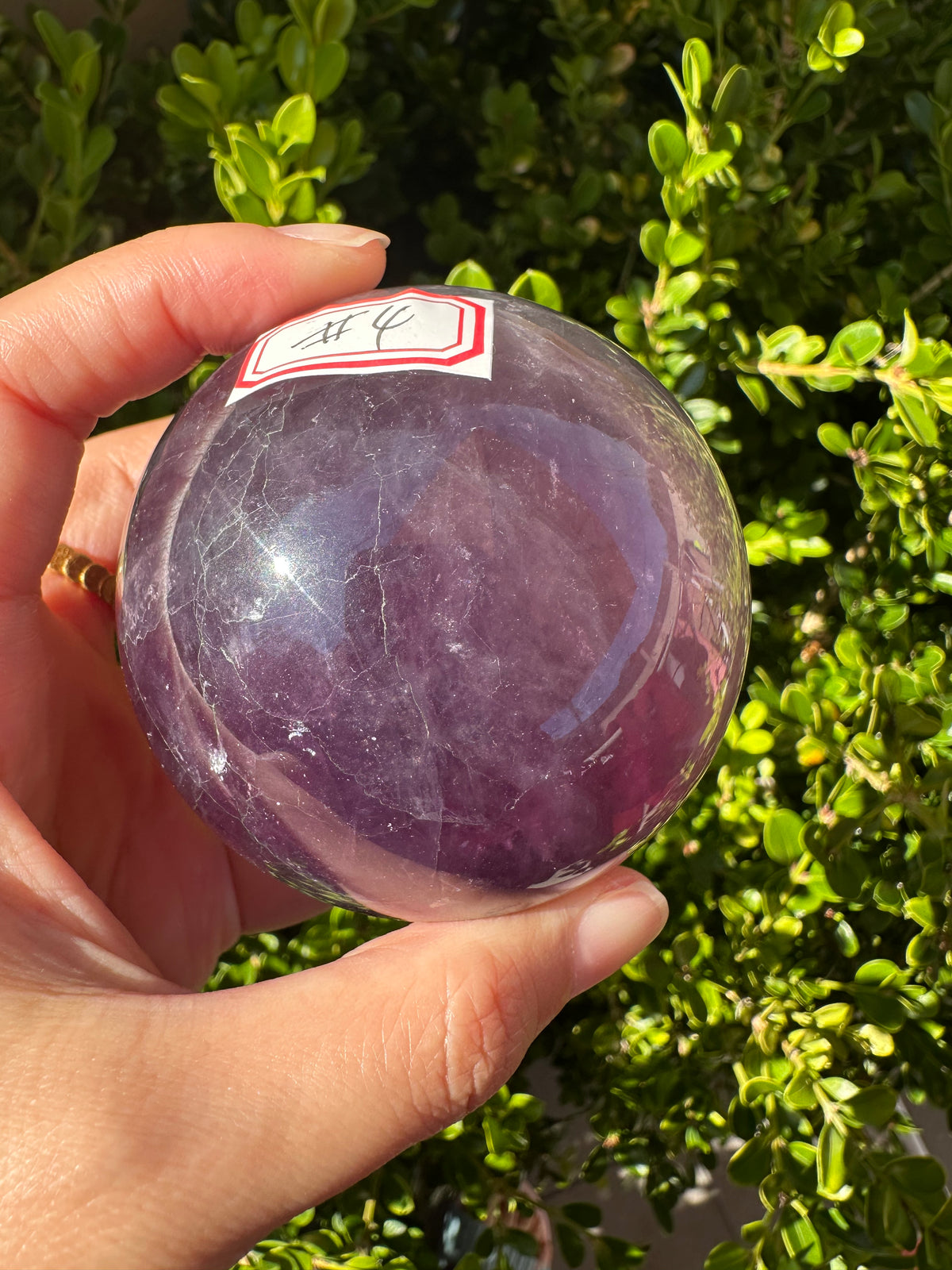 Purple Fluorite Sphere with Violet Zoning | 512g 6.7cm Exact Piece #4