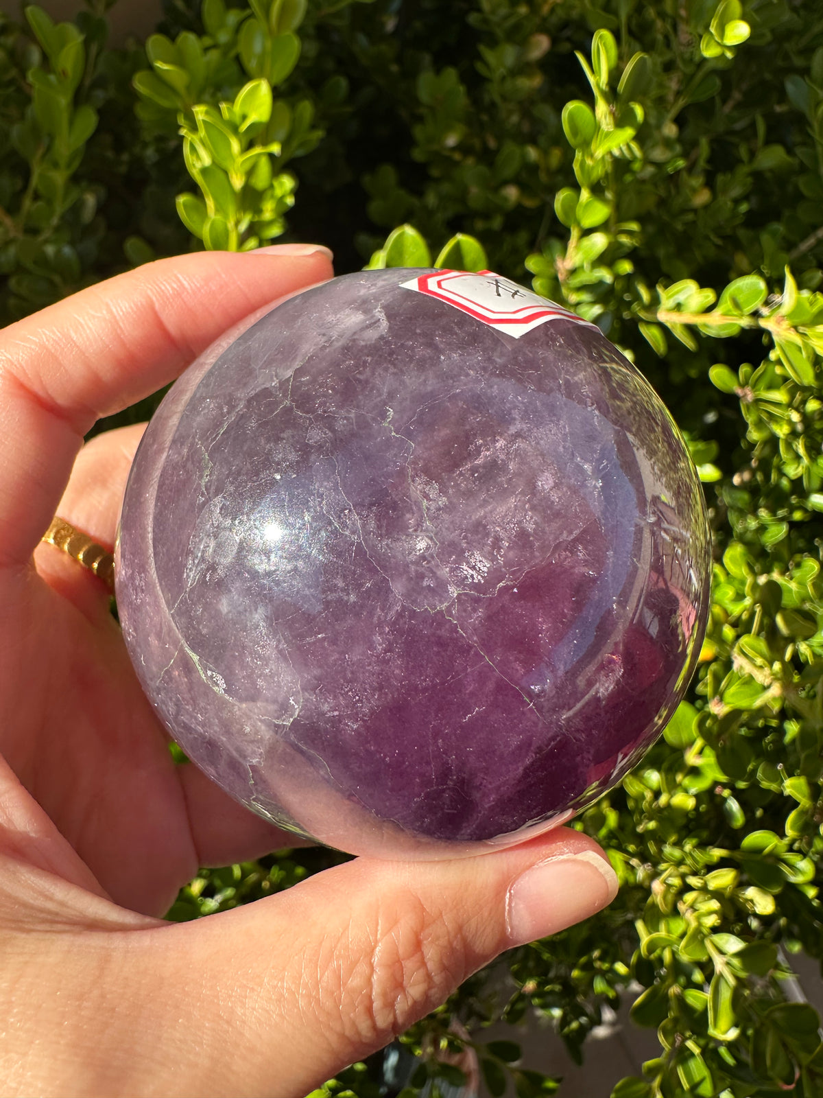 Purple Fluorite Sphere with Violet Zoning | 512g 6.7cm Exact Piece #4
