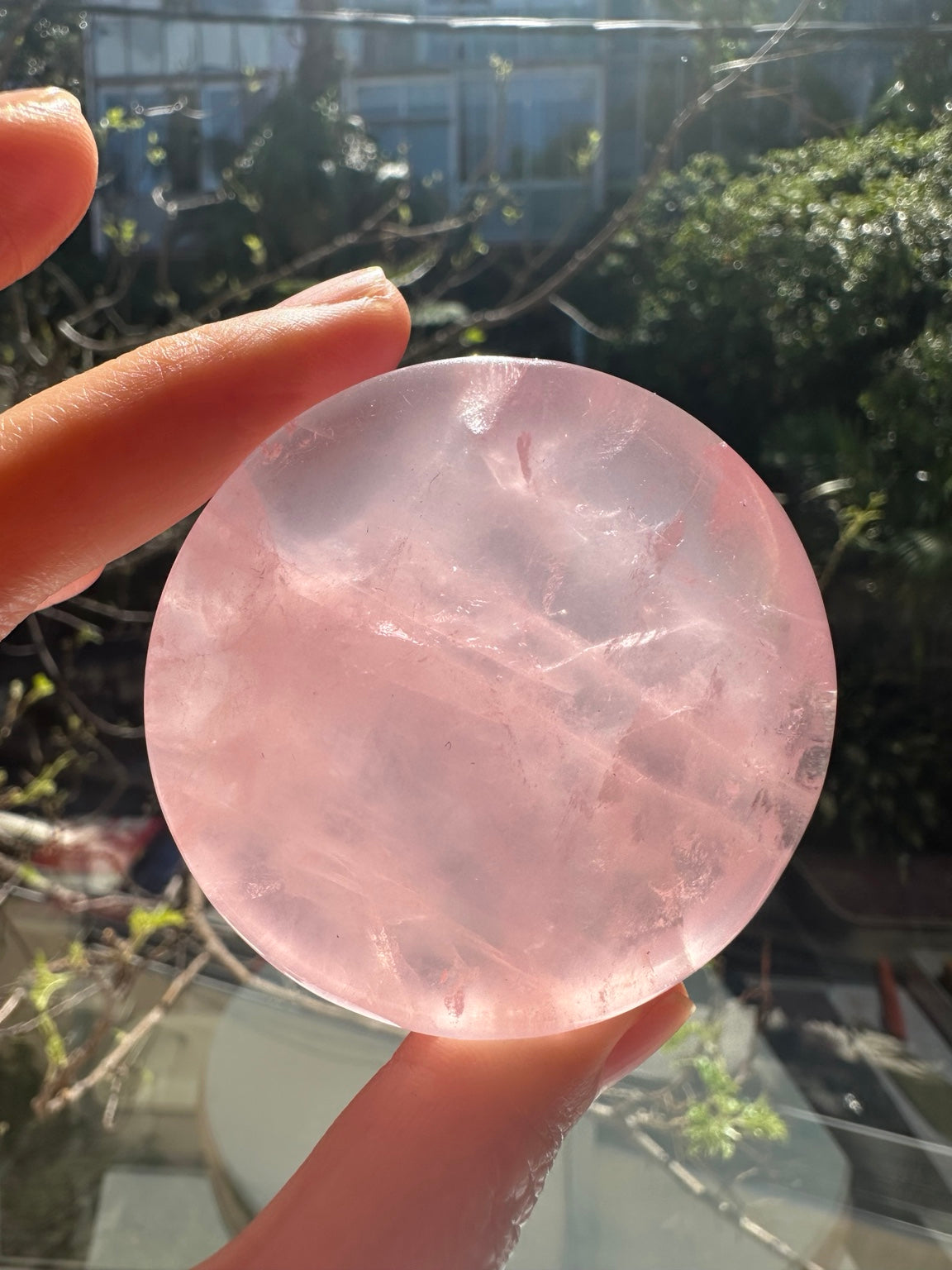 Original backlit rose quartz dish photograph for true colour and natural details