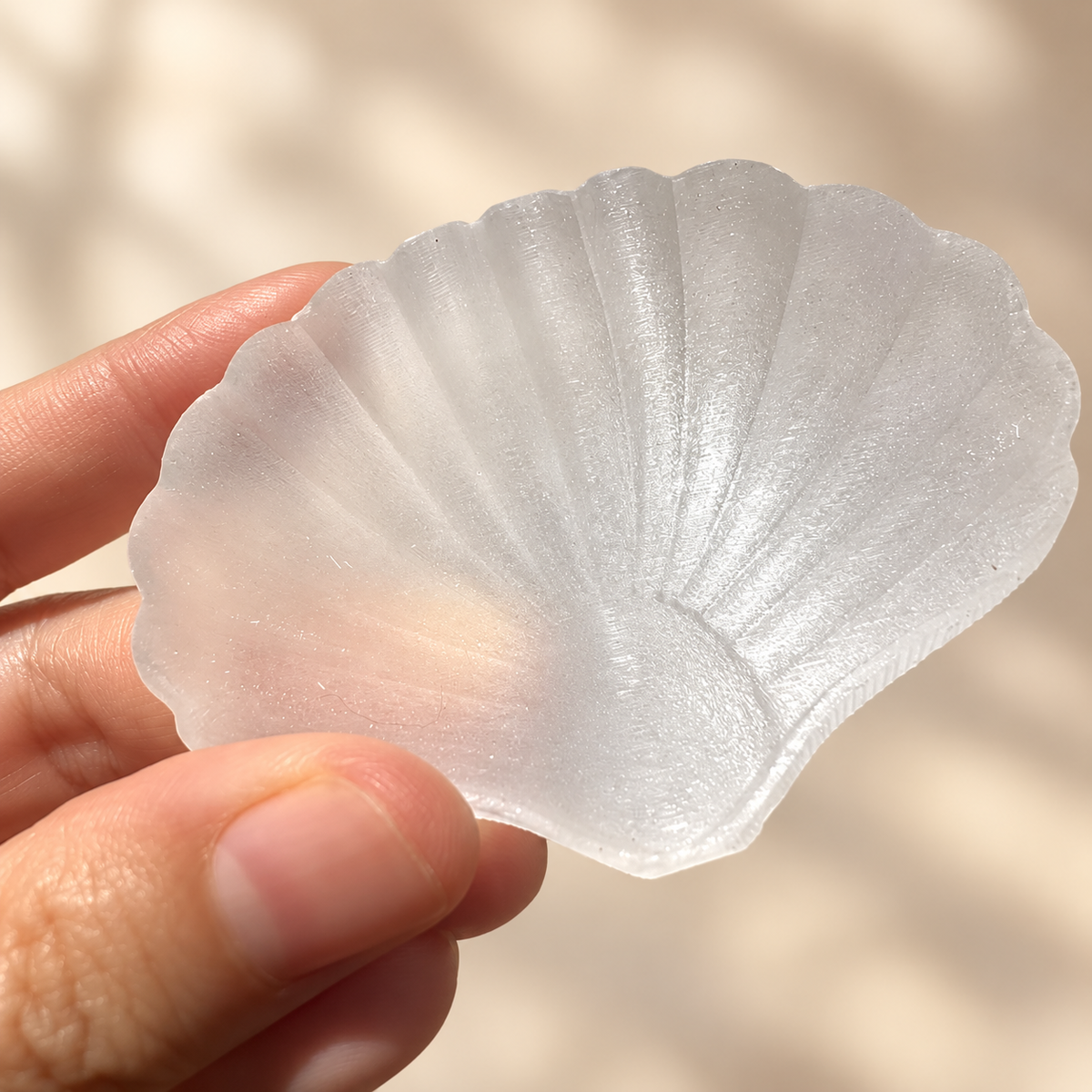 Hand-held white selenite shell showing its silky fibrous texture, translucency and compact scale.