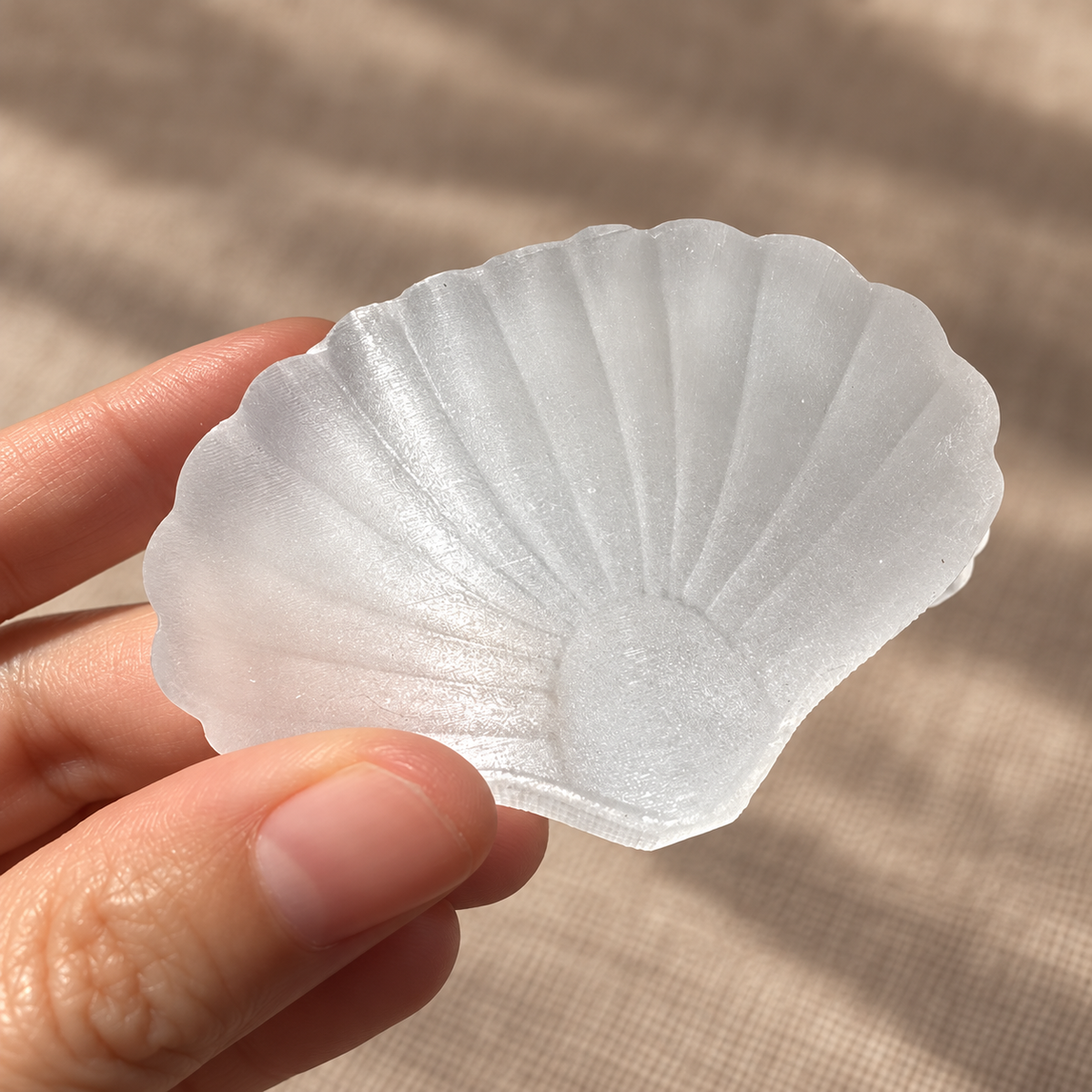 White selenite shell held between fingers in natural light, showing surface texture and scale.