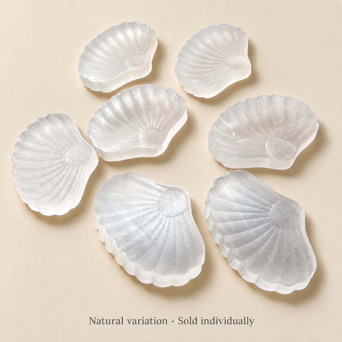 Several white selenite shell carvings illustrating natural texture variation; each purchase is for one piece.