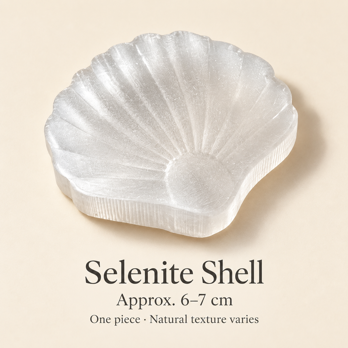 Selenite shell size guide: approximately 6–7 cm, one piece per purchase, with natural texture variation.