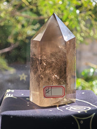 Brazilian Smoky Quartz Tower | 368g 10.2cm Exact Piece #1