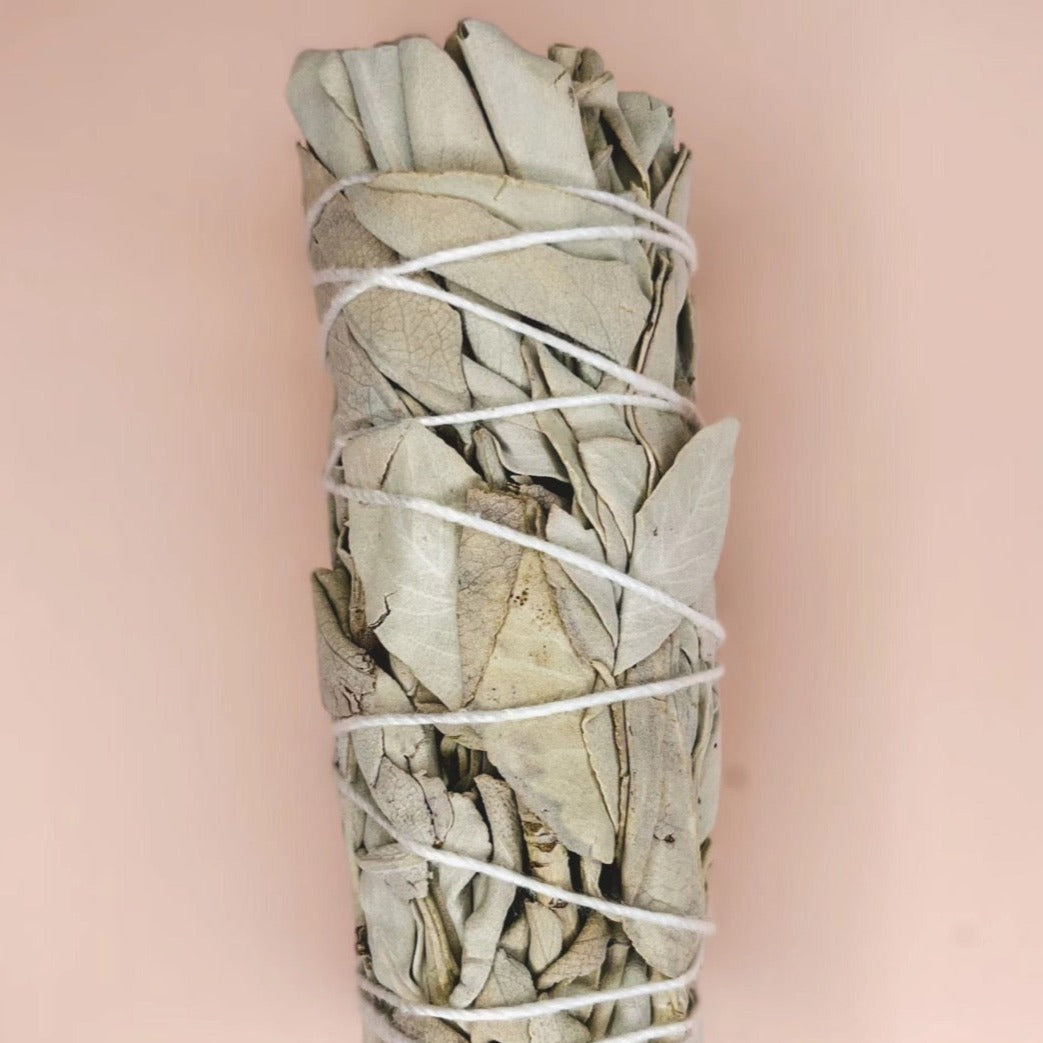 White Sage Smudge Sticks 